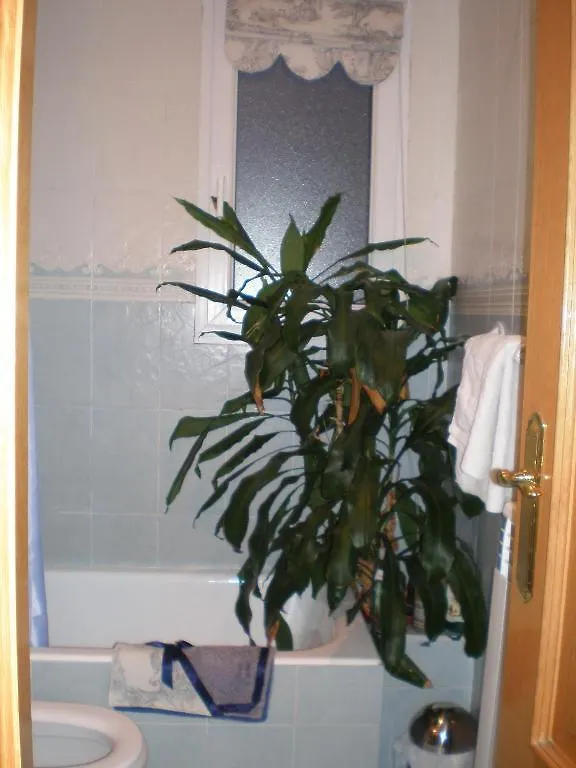 Guest house Pension Isabella San Sebastian